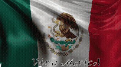 A Mexican Flag With The Words Viva Mexico Written On It GIF