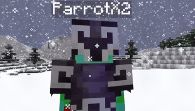 A Minecraft Character Named Parrotx2 Is Standing In A Snowy Area GIF