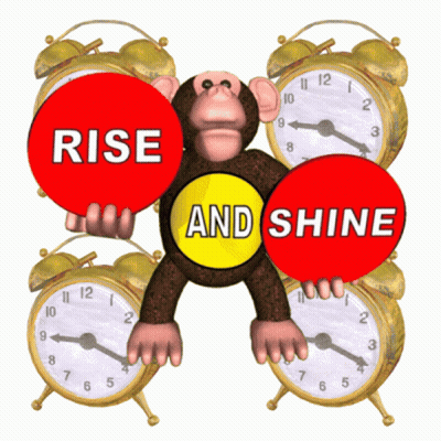 A Monkey Holding A Sign That Says Rise And Shine Surrounded By Alarm Clocks GIF