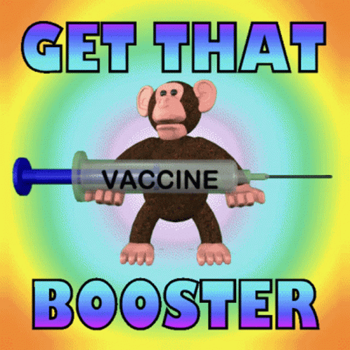 Monkey Holding Syringe Vaccine GIF
