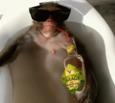 A Monkey In A Bathtub With A Bottle Of Garage GIF