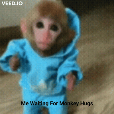 A Monkey In A Blue Hoodie Is Waiting For A Monkey Hug GIF