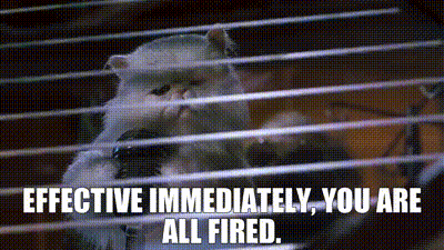 A Monkey In A Cage With The Words `` Effective Immediately , You Are All Fired '' Written On It . GIF