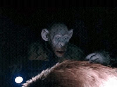 A Monkey In A Dark Room With A Flashlight Behind It GIF