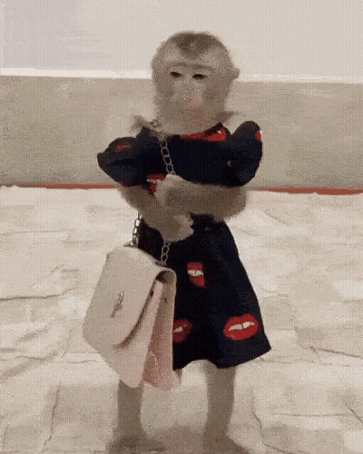 A Monkey In A Dress Is Holding A Purse GIF