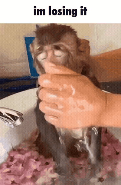 A Monkey Is Being Washed In A Sink With The Words Im Losing It Below It GIF