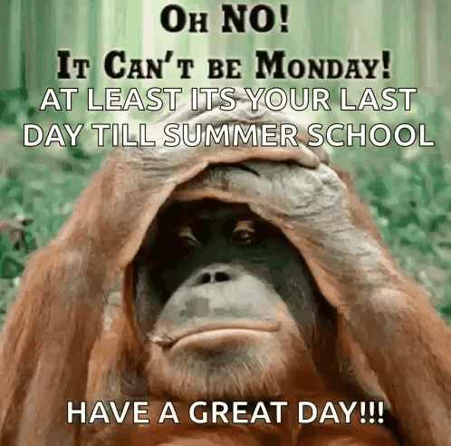A Monkey Is Covering Its Face With Its Hand And Says " Oh No " GIF