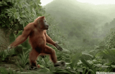 A Monkey Is Dancing In The Jungle With A Gif Planet.com Watermark GIF