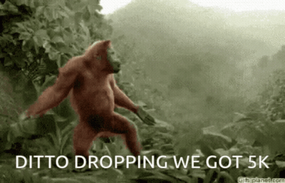 A Monkey Is Dancing In The Jungle With The Words " Ditto Dropping We Got 5K " Below It GIF