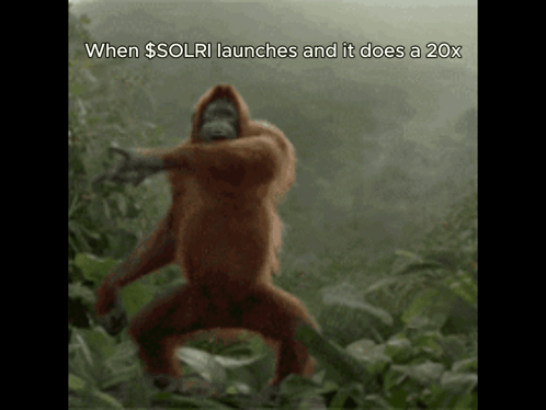 A Monkey Is Dancing In The Jungle With The Words When $ Solri Launches And It Does A 20X GIF
