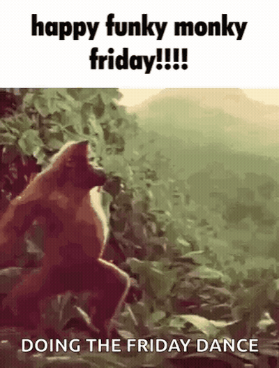 A Monkey Is Doing The Friday Dance In The Jungle GIF