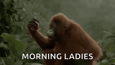 A Monkey Is Eating A Banana In The Jungle And Says Morning Ladies . GIF