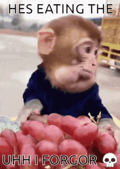 A Monkey Is Eating A Bunch Of Grapes With A Caption That Says Hes Eating The Uhh I Forgor GIF