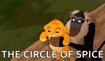 A Monkey Is Holding A Baby Lion In A Circle Of Spice . GIF