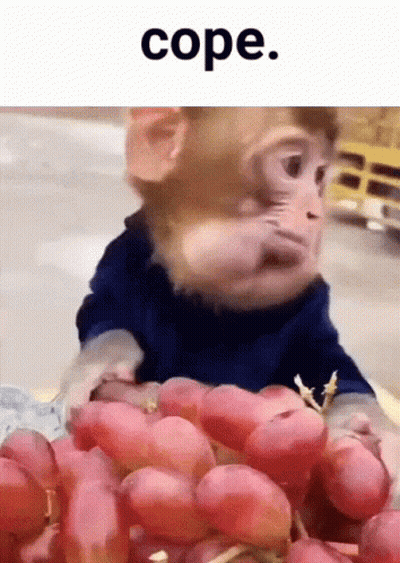 A Monkey Is Holding A Bunch Of Grapes In Front Of A Sign That Says Cope GIF