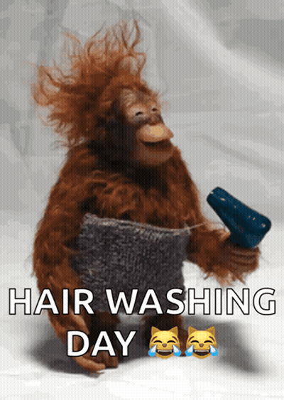 A Monkey Is Holding A Hair Dryer And A Sweater With The Words Hair Washing Day Above It GIF