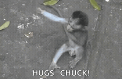 A Monkey Is Hugging A Man In A Black And White Photo . GIF
