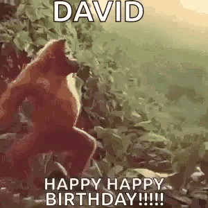A Monkey Is Jumping In The Air With The Words `` David Happy Happy Birthday !!! '' . GIF