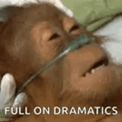 A Monkey Is Laying In A Hospital Bed With An Oxygen Mask On His Face . GIF