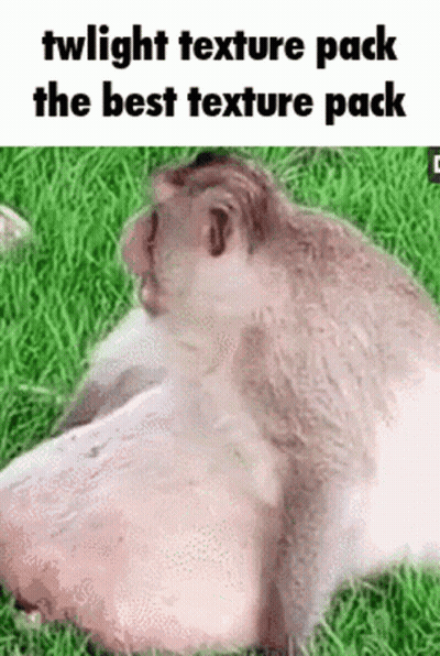 A Monkey Is Laying On A Piece Of Meat In The Grass With The Caption Twilight Texture Pack The Best Texture Pack . GIF