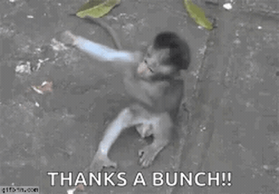 A Monkey Is Laying On The Ground With The Words `` Thanks A Bunch '' Written Above It . GIF