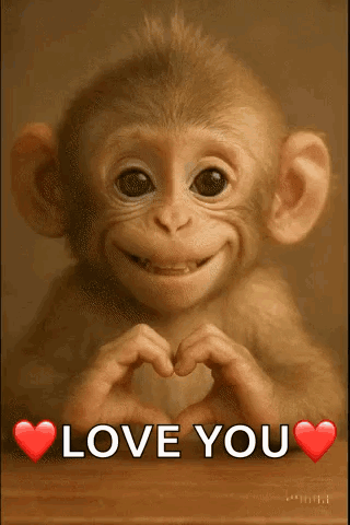 A Monkey Is Making A Heart Shape With Its Hands And The Words `` I Love You '' . GIF