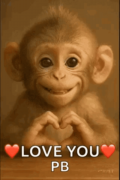 A Monkey Is Making A Heart With Its Hands . GIF