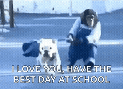 A Monkey Is Riding A Motorcycle Next To A Bulldog . GIF