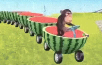 A Monkey Is Riding A Train Of Watermelons GIF
