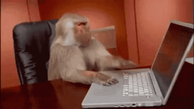 A Monkey Is Sitting At A Desk Using A Laptop GIF