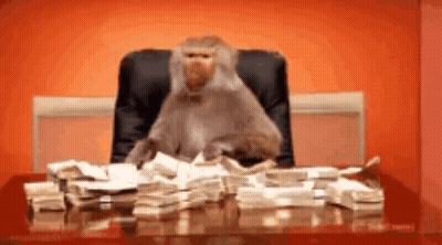 A Monkey Is Sitting At A Desk With Stacks Of Money On It . GIF