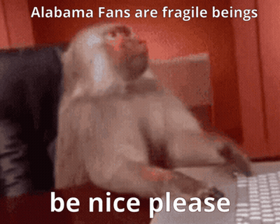 A Monkey Is Sitting At A Desk With The Words " Alabama Fans Are Fragile Beings Be Nice Please " Above It GIF