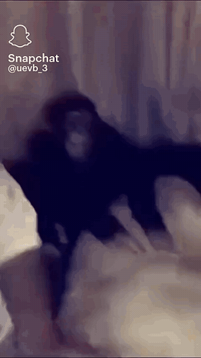 A Monkey Is Sitting On A Bed In A Snapchat Video GIF