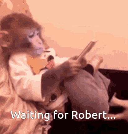 A Monkey Is Sitting On A Bed Reading A Book And Waiting For Robert .. GIF