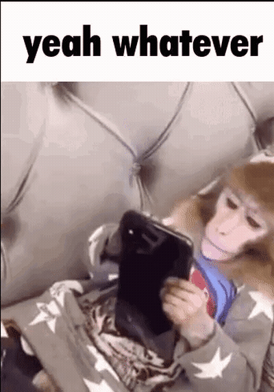 A Monkey Is Sitting On A Bed Using A Tablet Computer . GIF