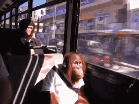 A Monkey Is Sitting On A Bus Next To A Woman GIF