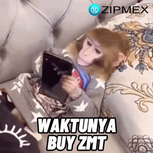 A Monkey Is Sitting On A Couch Looking At A Tablet With The Words " Waktunya Buy Zmt " Below It GIF