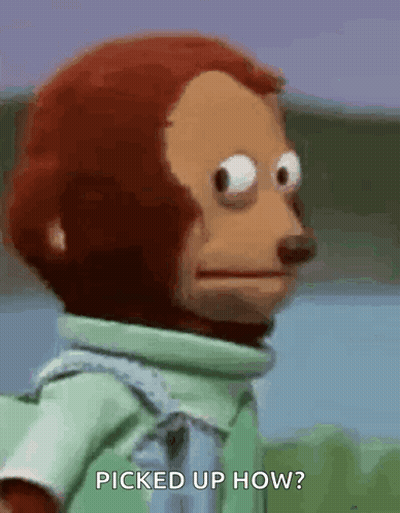 A Monkey Is Standing In Front Of A Body Of Water And Looking At The Camera . GIF