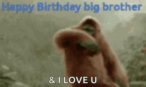 A Monkey Is Standing In Front Of A Sign That Says `` Happy Birthday Big Brother '' And '' I Love U '' . GIF