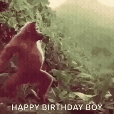 A Monkey Is Standing In The Jungle With The Words `` Happy Birthday Boy '' Written Below It . GIF