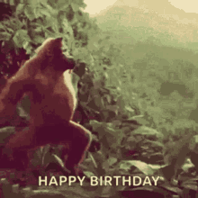 A Monkey Is Standing In The Jungle With The Words `` Happy Birthday '' Written Below It . GIF