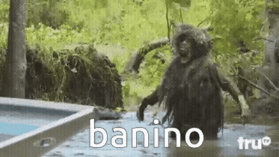 A Monkey Is Standing In The Water Next To A Pool With The Word Banino Written On It . GIF