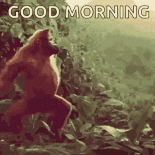 A Monkey Is Standing In The Woods With The Words `` Good Morning '' Above It . GIF