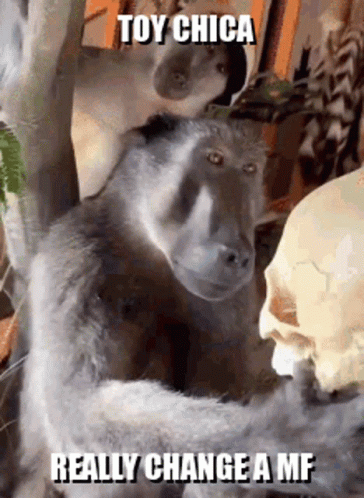 A Monkey Is Standing Next To A Skull With The Caption Toy Chica Really Change A Mf GIF