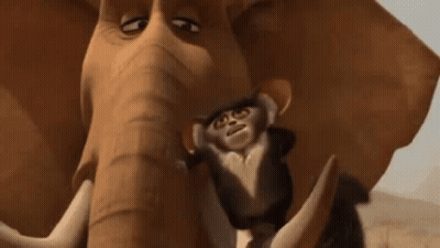 A Monkey Is Standing Next To An Elephant With Its Eyes Closed . GIF