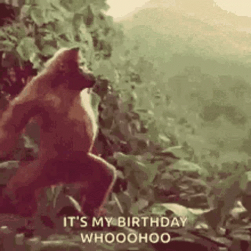 A Monkey Is Standing On A Rock In The Woods And Saying `` It 'S My Birthday Whoohoo '' . GIF