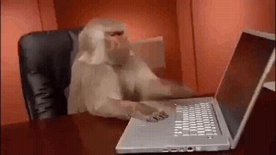 A Monkey Is Typing On A Laptop Computer While Sitting In A Chair . GIF