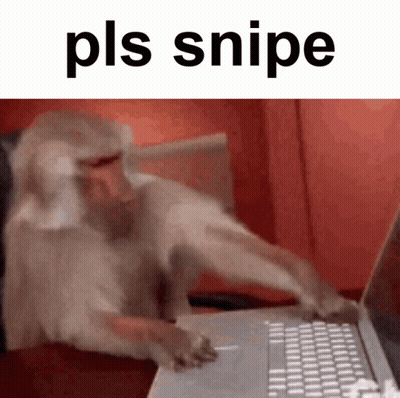 A Monkey Is Typing On A Laptop Computer With The Words Pls Snipe Above It GIF