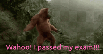 A Monkey Is Walking Through A Forest With The Words " Wahoo I Passed My Exam " Written Below It GIF