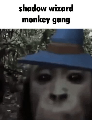 A Monkey Is Wearing A Blue Hat And Shadow Wizard Monkey Gang Is Written Above It . GIF